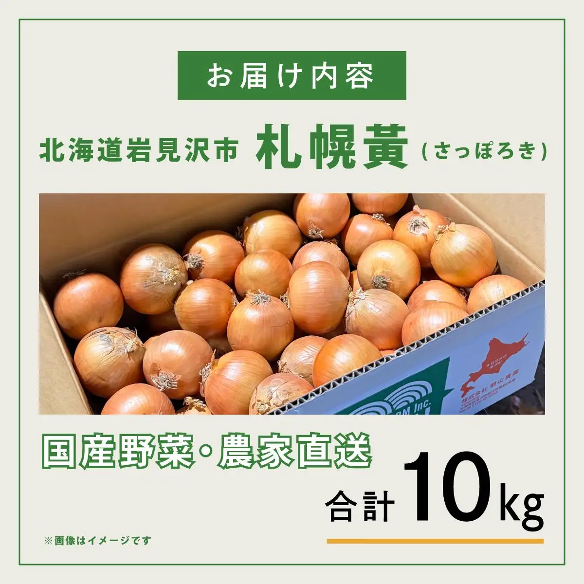 【先行予約】幻の玉ねぎ！札幌黄（さっぽろき）10kg [a168-011] 