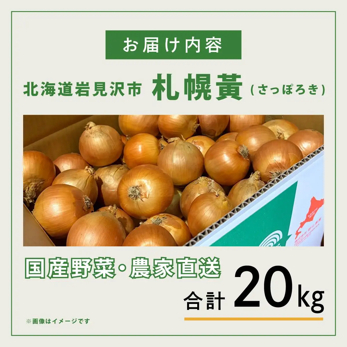 【先行予約】幻の玉ねぎ！札幌黄（さっぽろき）20kg [a168-012] 