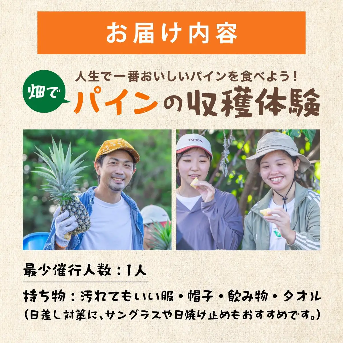 パイナップル パイン収穫体験参加クーポン