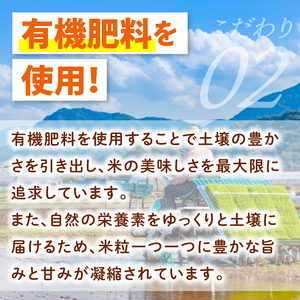 【6ヶ月定期便】令和7年産 茨城県特別栽培米コシヒカリ ネオニコフリー玄米5kg｜米 おこめ こしひかり 農家直送 直送 茨城県 阿見町（04-32）