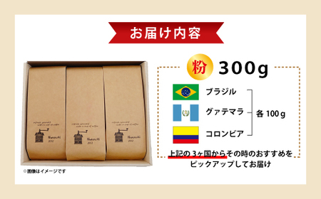 コーヒー Nanの木 自家焙煎 スペシャルティ 3種 飲み比べ セット 粉 | コーヒー