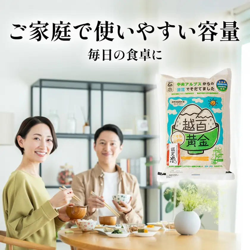 長野県産 越百黄金米(精米)5kg【1575178】