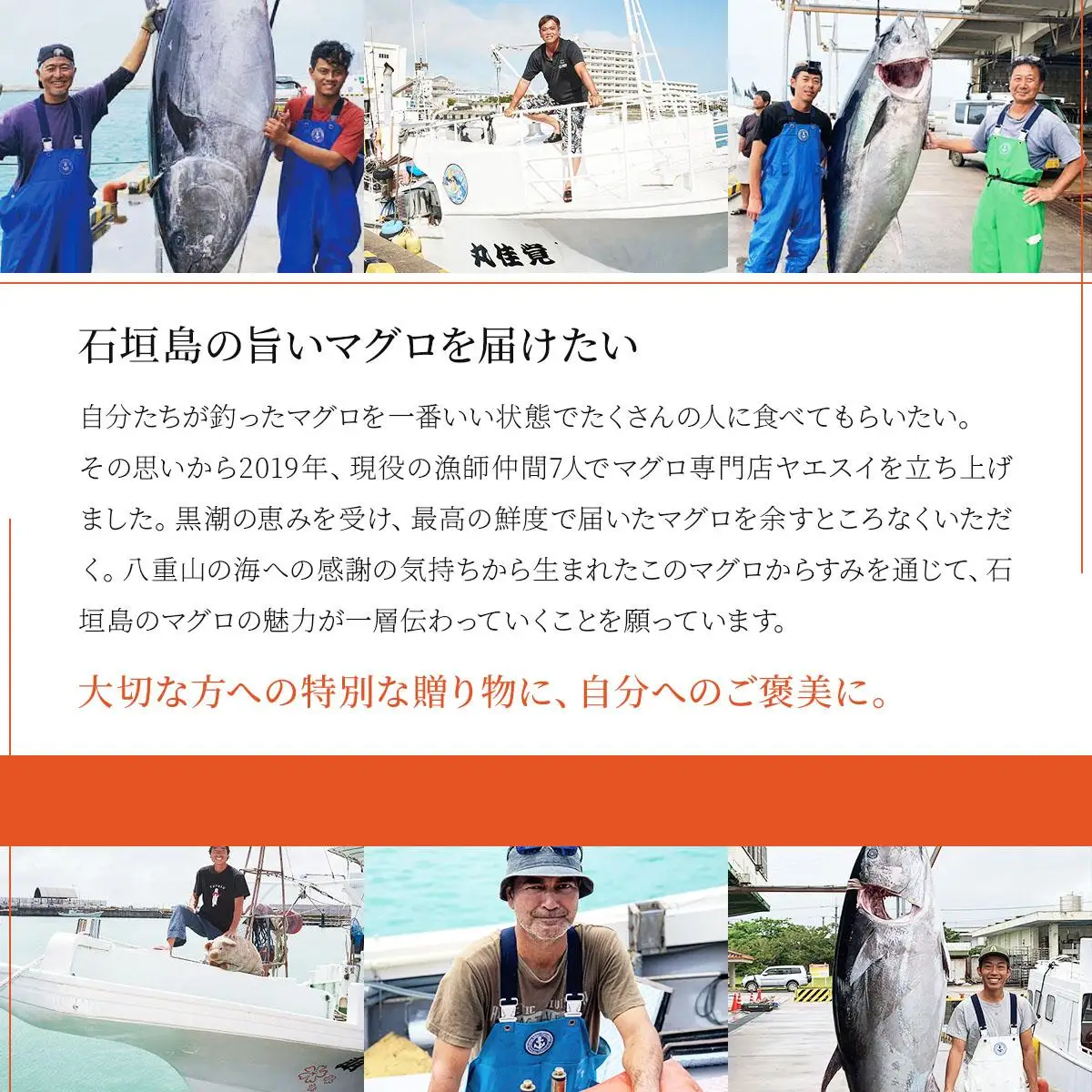 本マグロ からすみパウダー 20g×2個