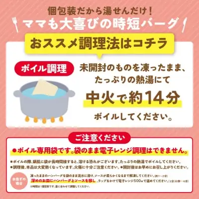Z61-88 寄附額改定↓↓ 【4回定期便】Best4バーグ ハンバーグ 20個【合挽4種･各5個】 ハンバーグ
