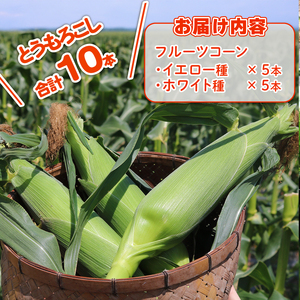 【先行予約】とうもろこし 2種食べ比べ 合計10本 (イエロー ホワイト) とうもろこし フルーツコーン