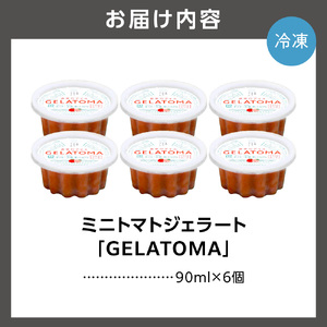 トマト農家が作ったトマトのジェラート「GELATOMA」6個 | とまと 野菜 フルーツ アイス 北海道 石狩市