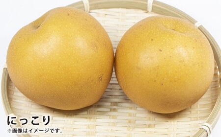 浅岡農園の梨 約5kg 梨 なし ナシ くだもの 果物 フルーツ 果実 和梨 王秋 にっこり 愛宕 大分県 九重町 【2026年11月下旬発送予定】