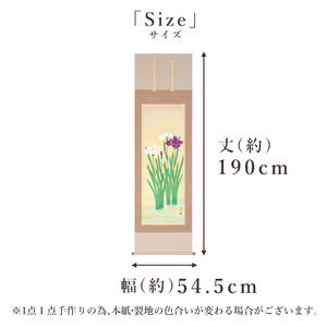 掛け軸「菖蒲」 北沢利輝 尺五立 サイズ：54.5×190cm 桐箱付 掛け軸 表装 床の間
