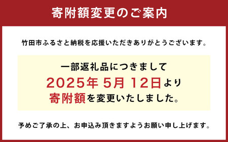 トマトケチャップ 3本セット 385g×3本 完熟トマト 大分県 竹田市