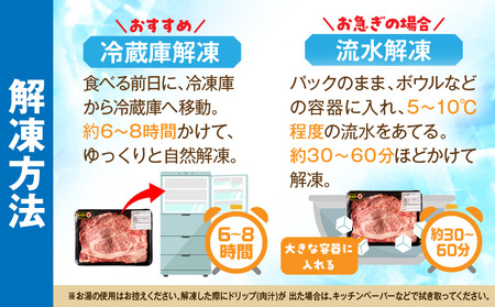 牛肉 スライス 牛肉[宮崎牛 ロース 500g]