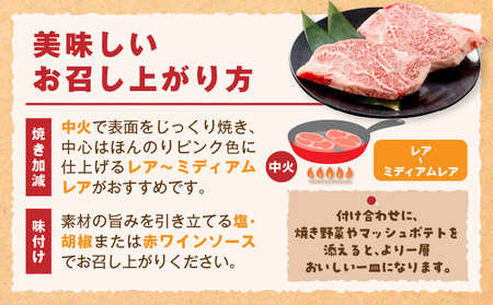 牛肉 シャトーブリアン 牛肉[宮崎牛 ステーキ 300g]