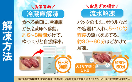 牛肉 ステーキ 牛肉[宮崎牛 ミスジ 600g 希少部位]