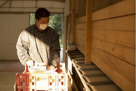 【3カ月連続お届け】放し飼い土佐ジローの卵　20個入り［(H)1238］