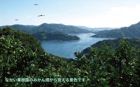 温州 みかん ジュース 720ml×4本 農薬 化学肥料 除草剤 不使用 なかい果樹園 ジュース H019-144005