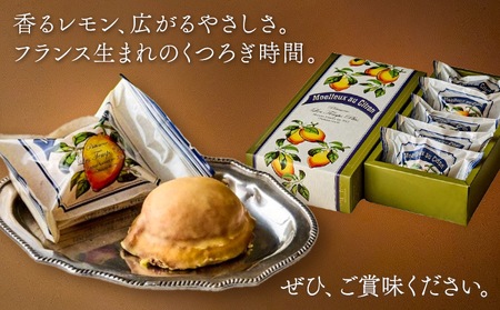 モエルーオシトロン 10個入り パティスリーレタンプリュス《30日以内に出荷予定(土日祝除く)》千葉県 流山市 ケーキ レモンケーキ レモン 高級 ブランド お取り寄せ 茶菓 お中元 お菓子 焼き菓子 レタンプリュス