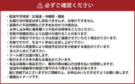 岡山県産 シャインマスカット 晴王 約800g（400g×2房） 【2026年8月下旬～11月下旬迄発送予定】 果物 くだもの フルーツ ぶどう ブドウ 葡萄 マスカット