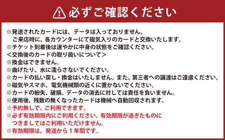サーキット 5レースカード×3枚セット 大和レジャー スポーツプラザ ビッグバン 室内サーキット スリックカート ドリフト走行 チケット 利用券 室内 スポーツ アミューズメント 神奈川県 大和市 送料無料