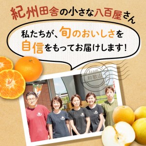 【0047-4】フルーツ王国和歌山のフルーツセット