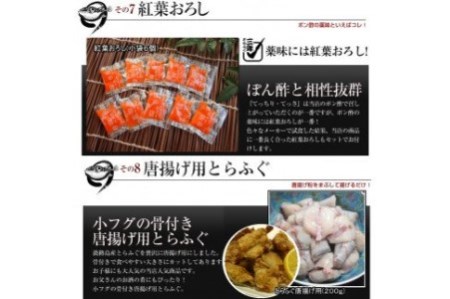 【若男水産】3年とらふぐ特選満足とらふぐセット 豪華9点盛り(5～6人前)
