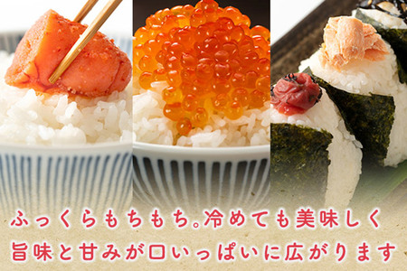 《定期便12ヶ月》あきたこまち【無洗米】3kg 秋田県産 令和7年産 こまちライン