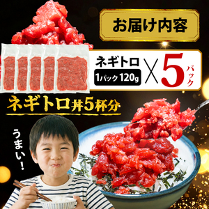 【スピード発送】 天然本鮪100％使用 ネギトロ 600g(120g×5) ネギトロ