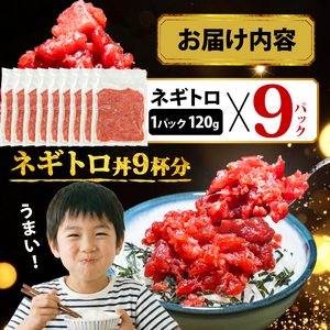 【スピード発送】 天然本鮪100％使用 ネギトロ 約1kg(120g×9) ネギトロ