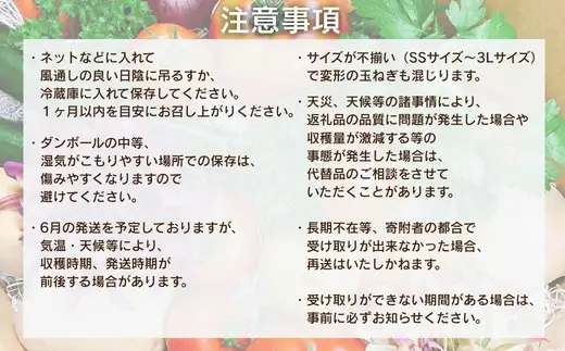 【令和8年度産玉ねぎ先行予約】玉ねぎ 2kg×2箱 ※6月より発送予定