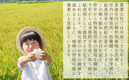 【3回定期便】令和7年産 高知県香南市産 特別栽培米 コシヒカリ 10ｋｇ Wnu-0013