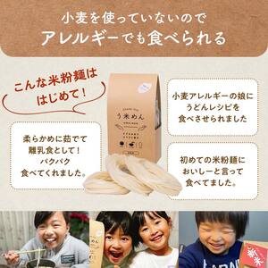 【2か月定期便】グルテンフリー 米粉で作った麺「う米めん」30食入り×2回 F21T-455