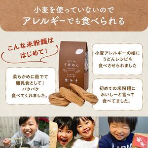 【3か月定期便】グルテンフリー 米粉で作った麺「う米めん」玄米タイプ12食入り×3回 F21T-458