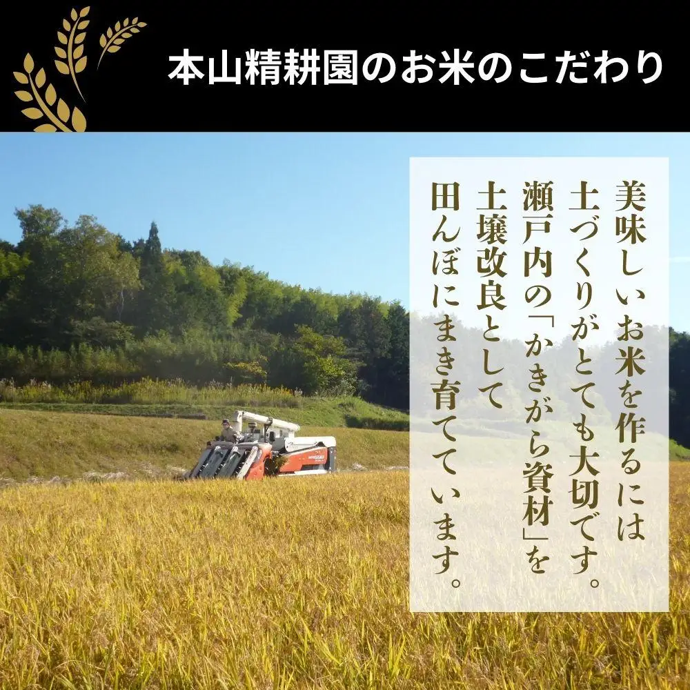 令和7年産 鏡野町産 きぬむすめ 精米【5kg】035-a012