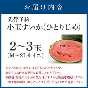 【0060-5】小玉すいか(ひとりじめ)2～3玉 和歌山産《先行予約》【2026年6月上旬頃から順次発送予定】