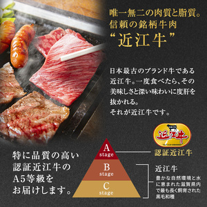 近江牛 西川畜産 A5ランク サーロイン 約500g 短冊焼肉用 雌牛 ふるさと納税 お肉 ブランド牛　和牛　黒毛和牛　日本三大和牛　滋賀県