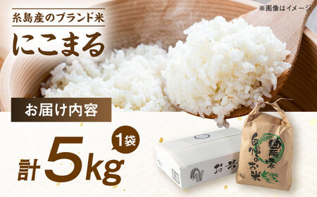 【令和7年産】【スピード発送】にこまる  白米 5kg(5キロ)  糸島市 / 糸島の恵み[AGR001] お米