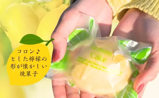 菊水ポテト4個とレモンケーキ3個詰め合わせ 