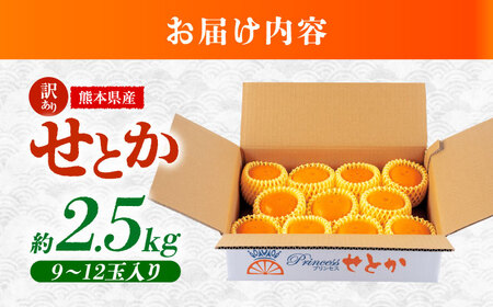 【2027年2月下旬から発送】【訳あり】せとか みかん 家庭用 約2.5kg 果物 フルーツ 【小春農園】[ZBN007]