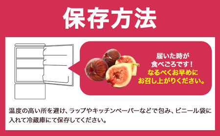 いちじく 無花果 とよみつひめ 280g×4パック《8月中旬-10月中旬頃出荷》福岡県 鞍手町 福岡県産 いちじく フルーツ 果物