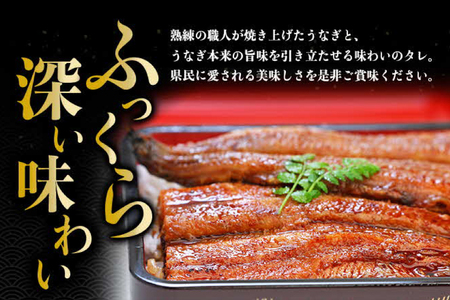 うなぎ 国産 うなぎ蒲焼き 2尾 [モリカン 徳島県 北島町 29bh0001]