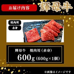 輝母牛焼肉用(赤身)(3人前600g/600g×1個) b9-004