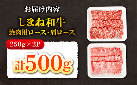 しまね和牛焼肉用ロース/肩ロース500g（各250g×1）[AIEF011]