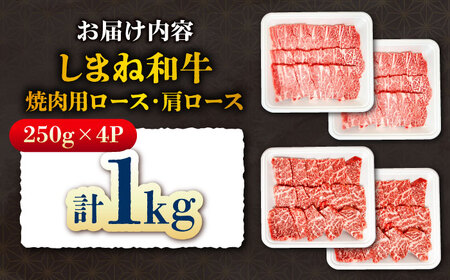 しまね和牛焼肉用ロース/肩ロース1kg（各250g×2）[AIEF013]