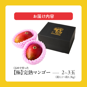 【2026年6月以降お届け】極　完熟マンゴー（2?3玉：約1.1?1.3kg） _ 完熟マンゴー 2 ? 3玉 約1.1kg 1.3kg 平均糖度 17度?18度 完熟 マンゴー 倉重農園 フルーツ トロピカルフルーツ 果物 デザート 冷蔵 クール便 お取り寄せ お取り寄せフルーツ 福岡県 久留米市 送料無料  〔Fm020〕