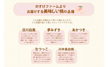 桃 2kg （5～6玉） もも モモ ピーチ 果物 フルーツ 山梨県産 国産 【2026年6月下旬～8月下旬発送予定】
