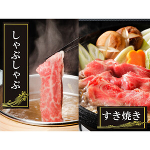 【訳あり】希少黒毛和牛「榊山牛」こま切れ肉500g（250g×2）すき焼き しゃぶしゃぶ 肉じゃが 黒毛和牛 グルメ  おすすめ