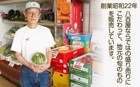 【0140-3】和歌山産小玉すいか ひとりじめ7(2～3玉)