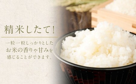 筑後の実り 10kg（5kg×2袋） 【2026年1月下旬から順次発送予定】 米 白米 ブレンド ご飯 国産 贈り物 福岡県 筑後市