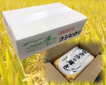 新潟県産 コシヒカリ ブランド米 「出雲崎の輝き」 2kg×6か月 出雲崎 令和7年産 定期便 合計12kg | コシヒカリ