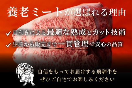 飛騨牛 ステーキ食べ比べセット 計4枚 700g ヒレステーキ ロースステーキ 牛肉 黒毛和牛 和牛 国産 牛 肉 ステーキ ヒレ フィレ ロース 最高級部位 赤身 霜降り お祝い 贈答 ギフト ふるさと納税 岐阜 贅沢 養老ミート