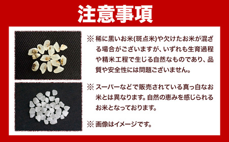 令和7年産 池山名水米 コシヒカリ 白米 精米 3kg フォーシーズン産山村