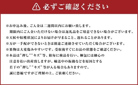 【4回定期便】岡山県産 フルーツ定期便コース （ニューピオーネ ・ シャインマスカット ・ 紫苑 ・ あたご梨） 【2026年9月上旬発送開始】／ 4回 葡萄 ぶどう マスカット 晴王 梨 なし 果物 果実 フルーツ 旬 定期便 岡山県 美咲町 冷蔵 常温